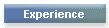 Experience