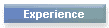 Experience